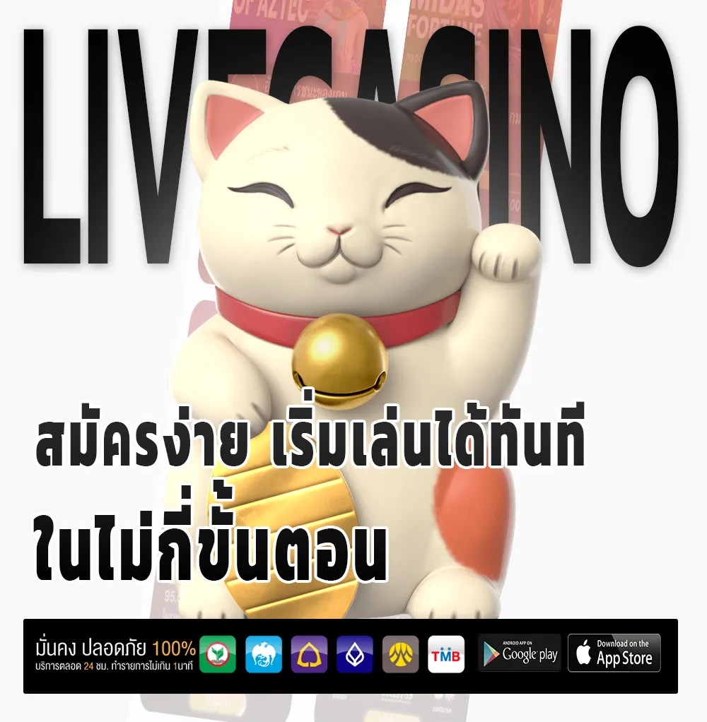 Dolphin 555 bonus